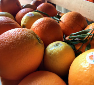 Le Arance Biologiche Siciliane: Azienda Agricola Chimera 