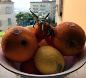 Le Arance Biologiche Siciliane: Azienda Agricola Chimera 