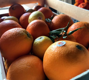 Le Arance Biologiche Siciliane: Azienda Agricola Chimera 