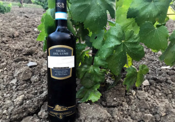 Biancolella d'Ischia di Antonio Mazzella