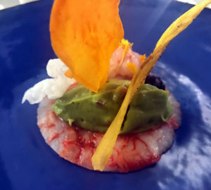 Monica Neri apre il primo ristorante biodinamico: Mame Ostrichina