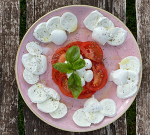 Le prime querce Capaccio