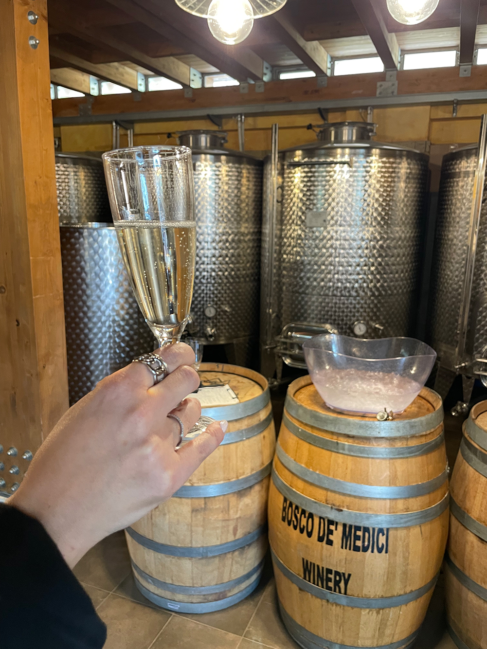 Bosco de Medici Pompei