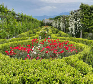 Bosco De Medici Resort: il Tasting Pompeii Tour assaporando l’incontro con la natura e i vini vesuviani