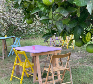 Agribar a Pozzuoli: l’aperitivo con prodotti a Km 0