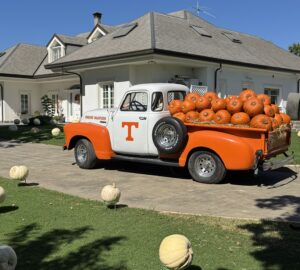 Il giardino delle zucche