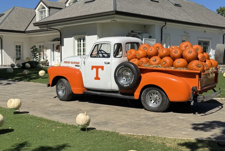 Il giardino delle zucche