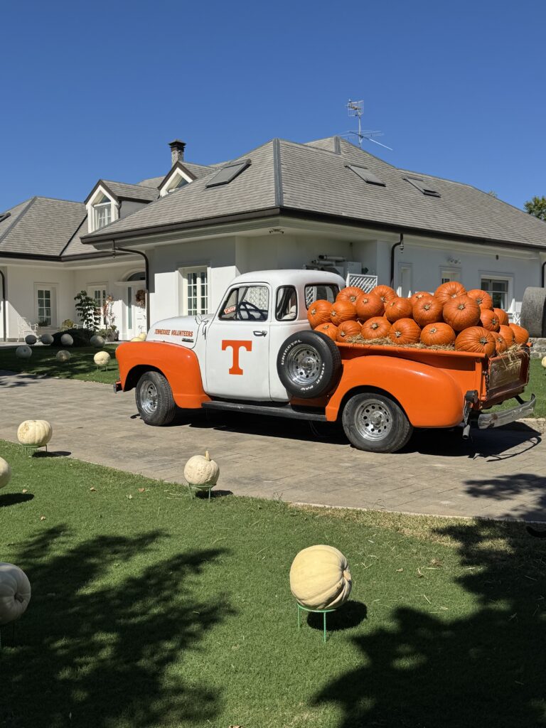 Il giardino delle zucche